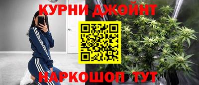 крисы Бузулук
