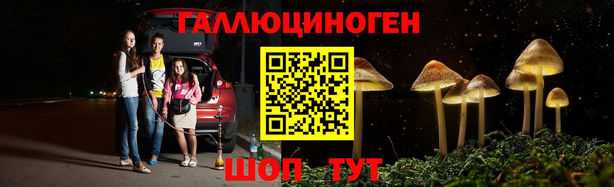 Костомукша  Галлюциногенные грибы мухоморы  Вход с VPN 
