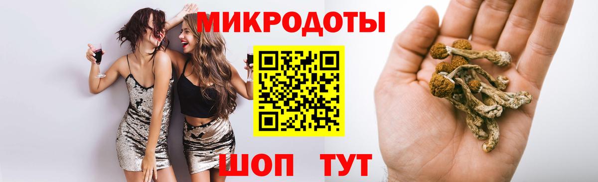 Галлюциногенные грибы Psilocybine cubensis Костомукша